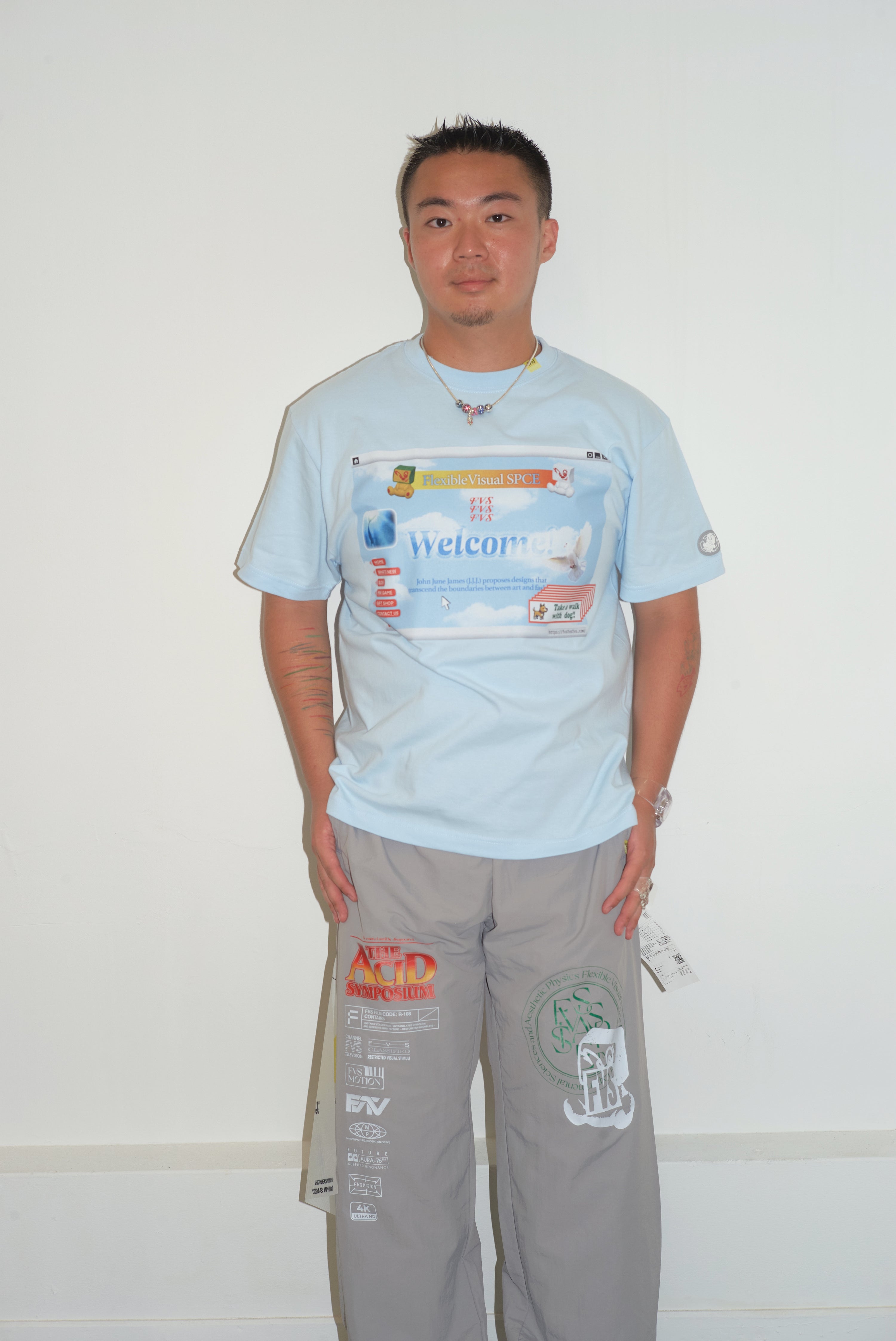 FVS website in 2001