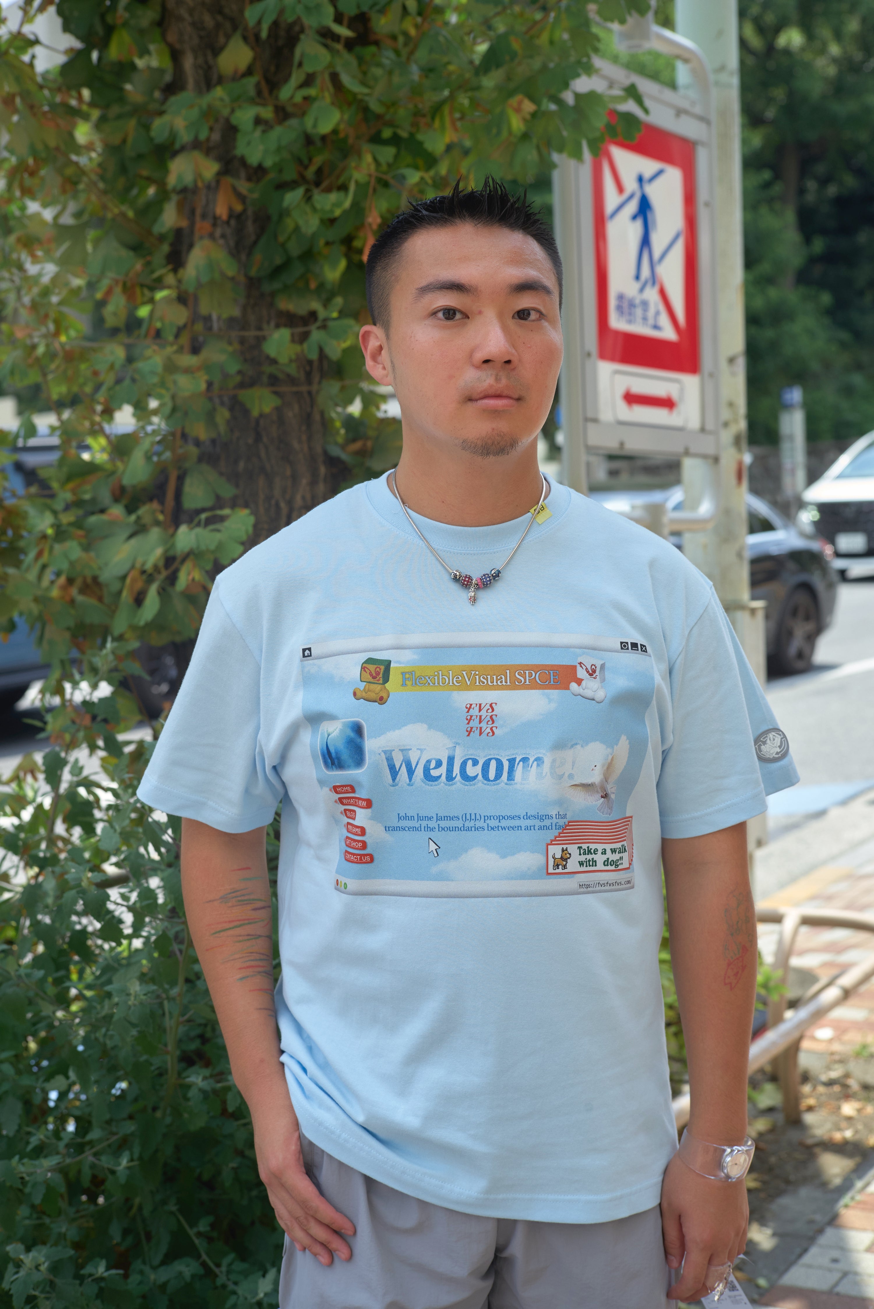 FVS website in 2001